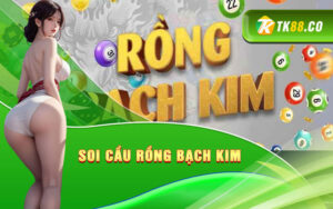 Soi Cầu Rồng Bạch Kim
